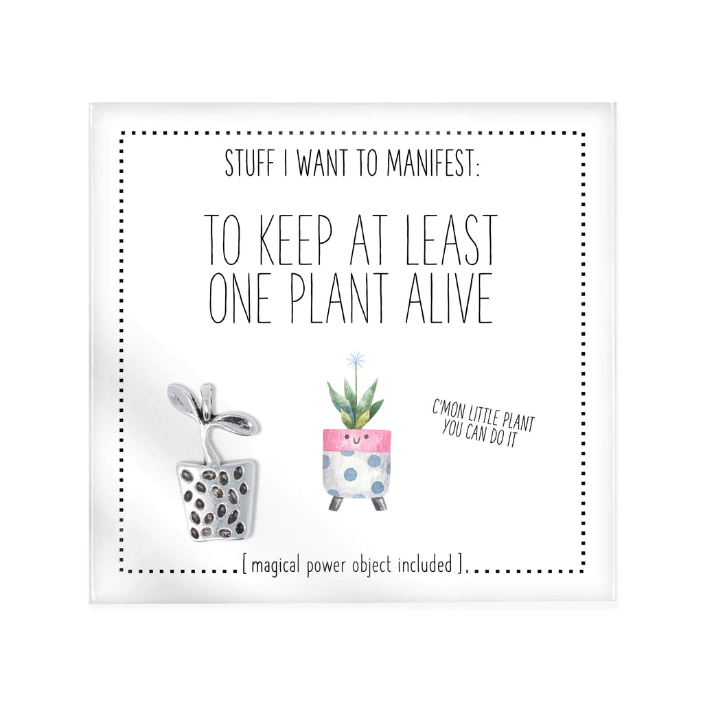 Stuff I Want to Manifest Charms - Assorted