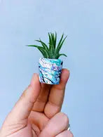 Colorful splatter mini planter