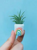 St pete mini planter