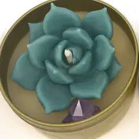 Succulent Beeswax Candle - Echeveria & Amethyst